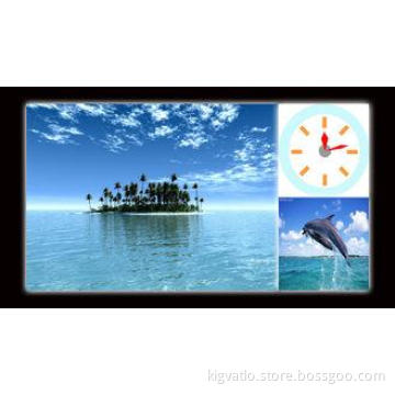 42 inch HD 1080P 3G Digital Signage media player For confer